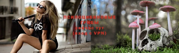 твердый Магас