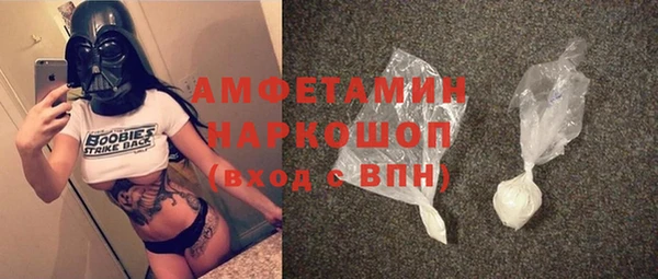твердый Магас