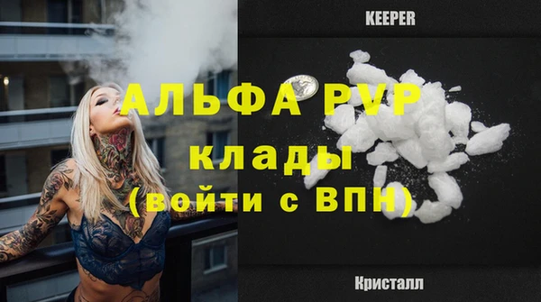 твердый Магас
