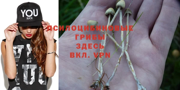 СК Магадан