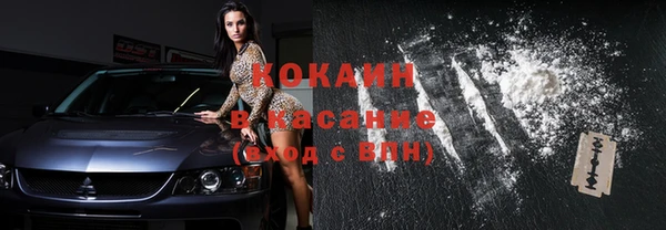 твердый Магас