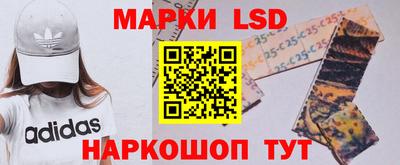 индика Балахна